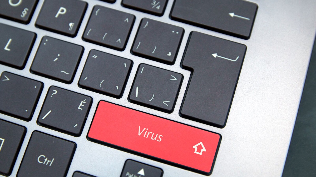 Windows 11 Popular Antivirus Firewall Compatible
